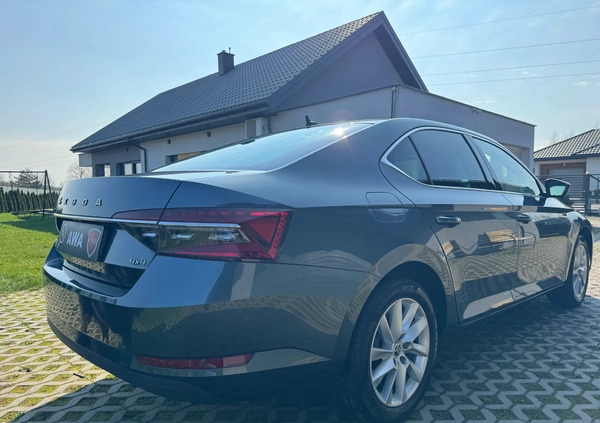 Skoda Superb cena 124900 przebieg: 50000, rok produkcji 2019 z Bełchatów małe 172